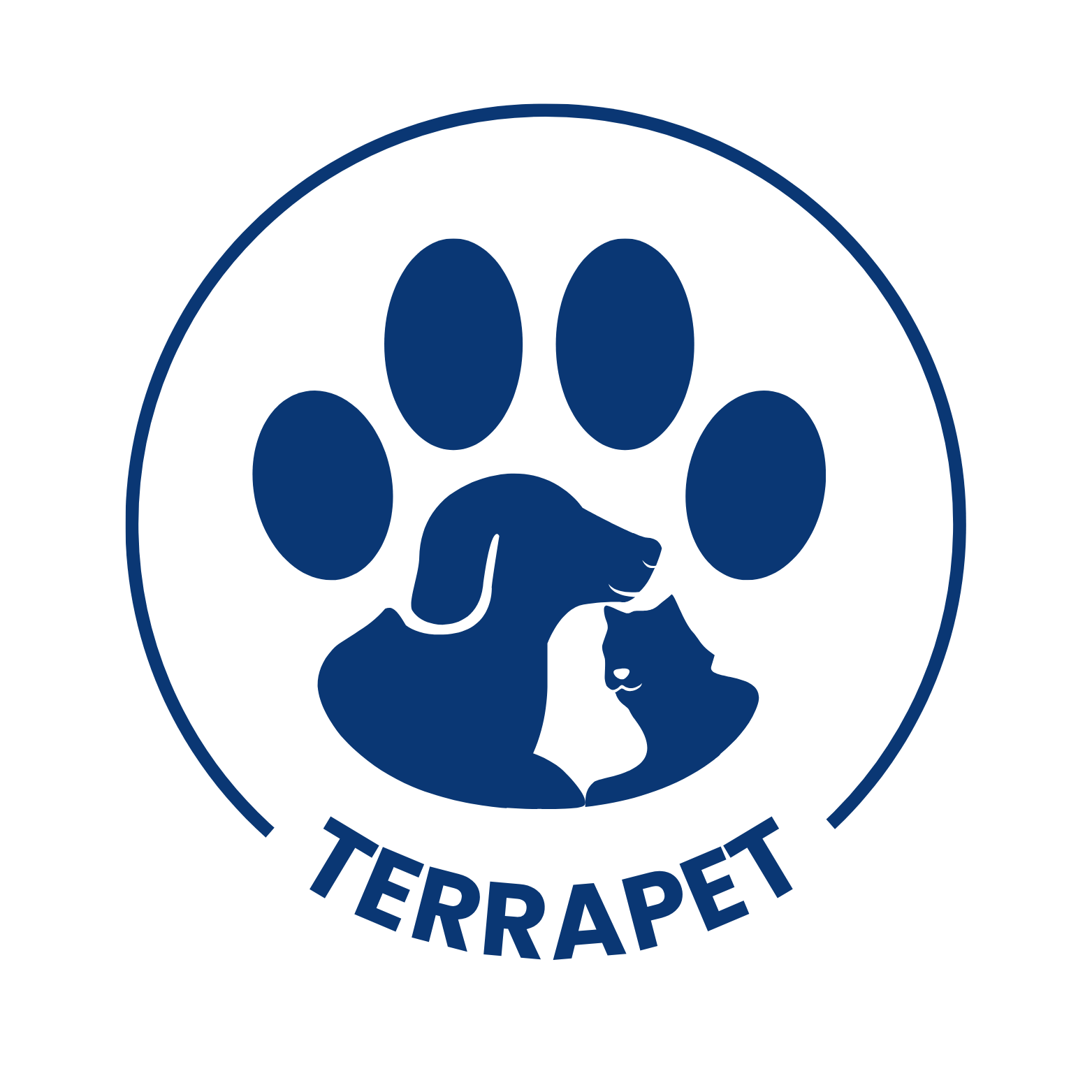 Alt Image