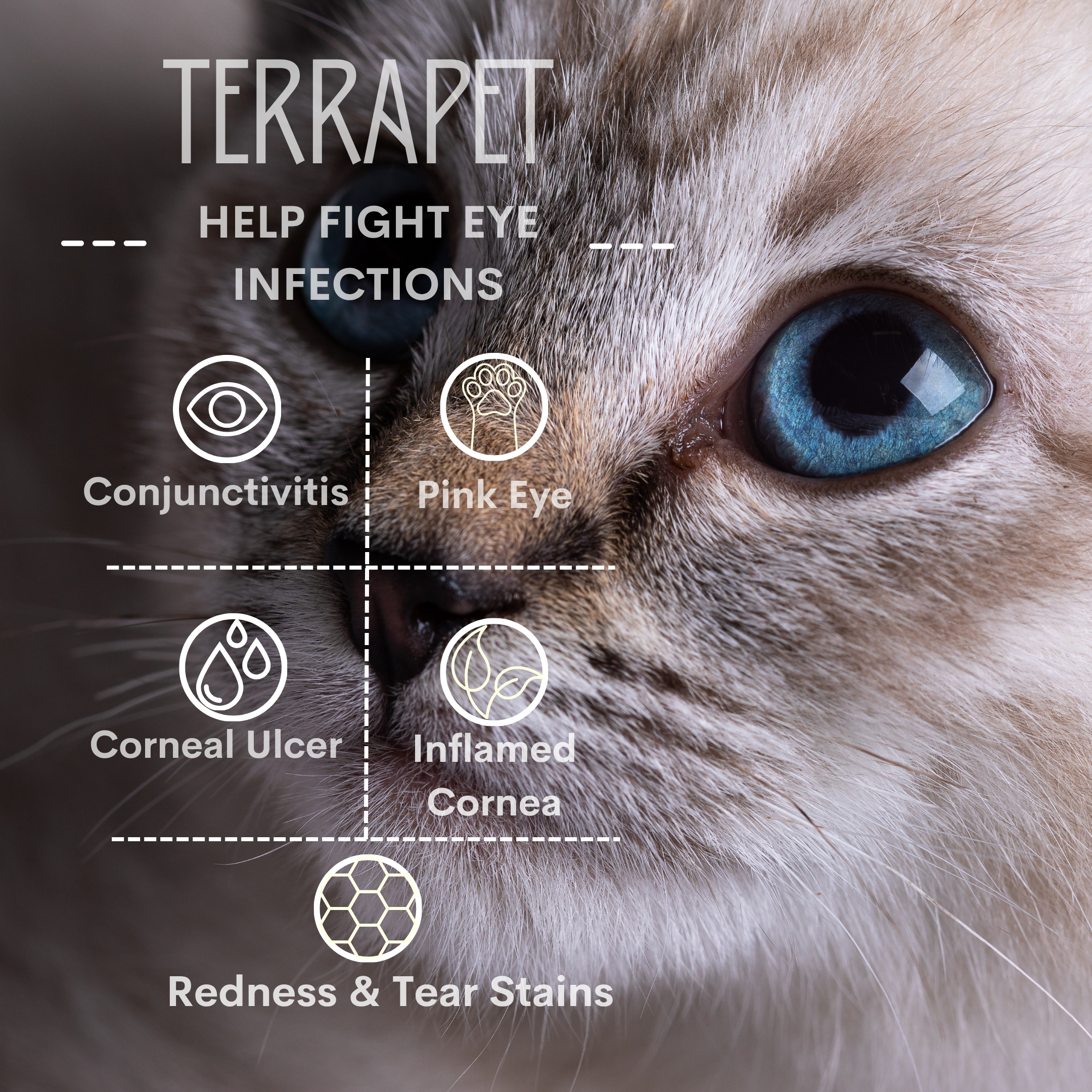 Pet Eye Ointment for Cats and Dogs, Horses, Birds, Sheep 3.5g/0.125oz