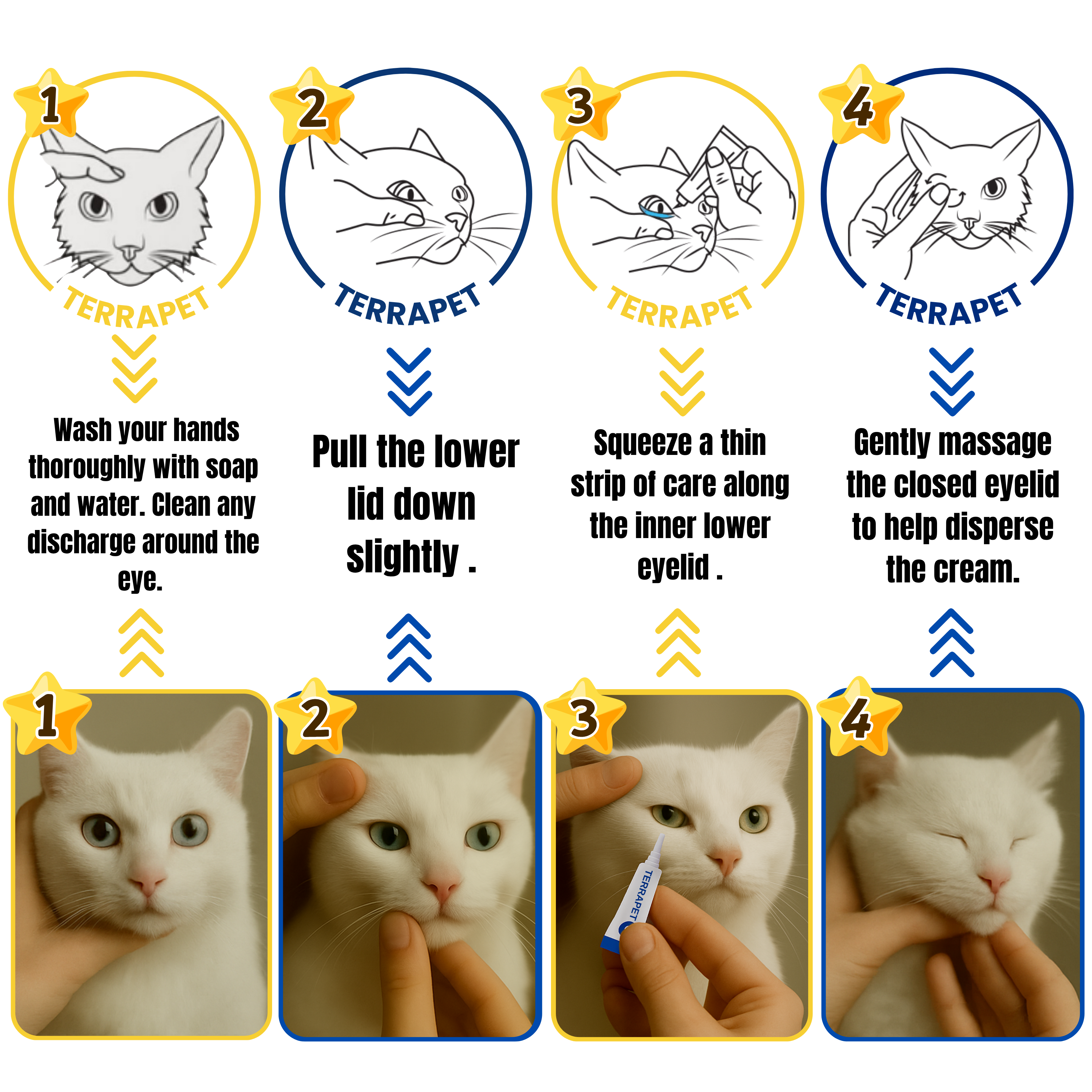 terramycin eye ointment for dogs
