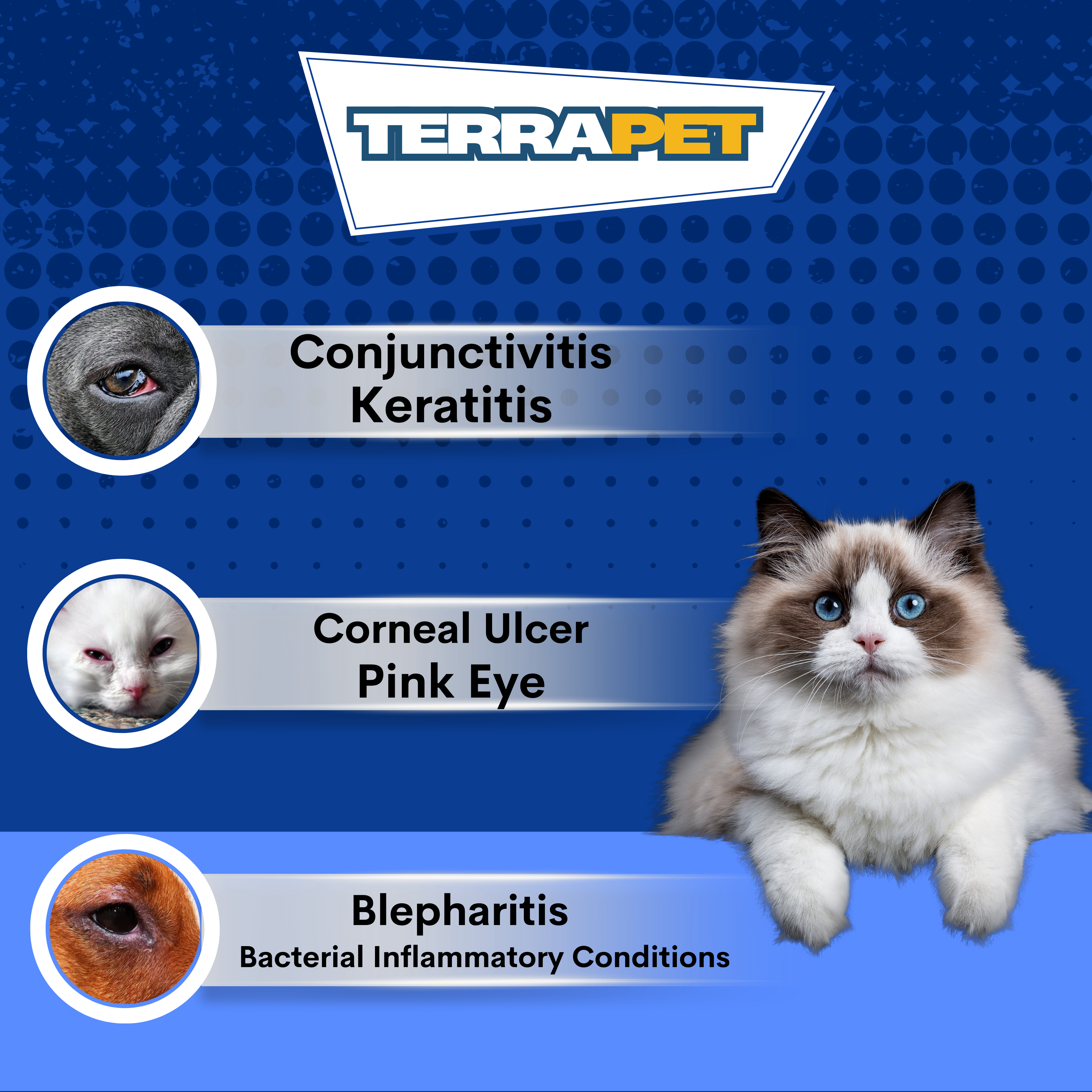 TerraPet Pet Eye Cream – Gentle Support for Redness, Irritation & Watery Eyes- 1/8 oz (3,5 g) Tube