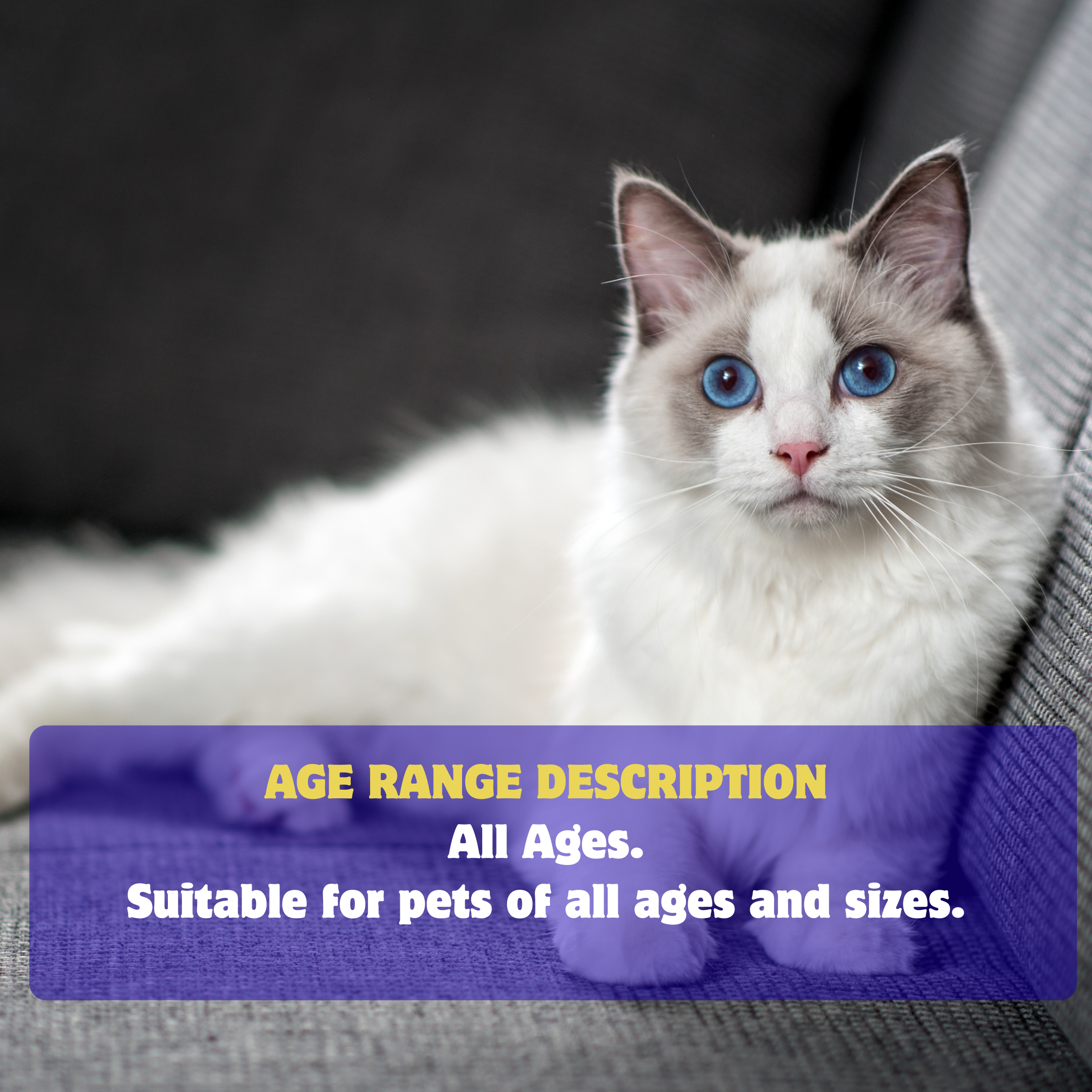 Pet Eye Ointment for Cats and Dogs, Horses, Birds, Sheep 3.5g/0.125oz